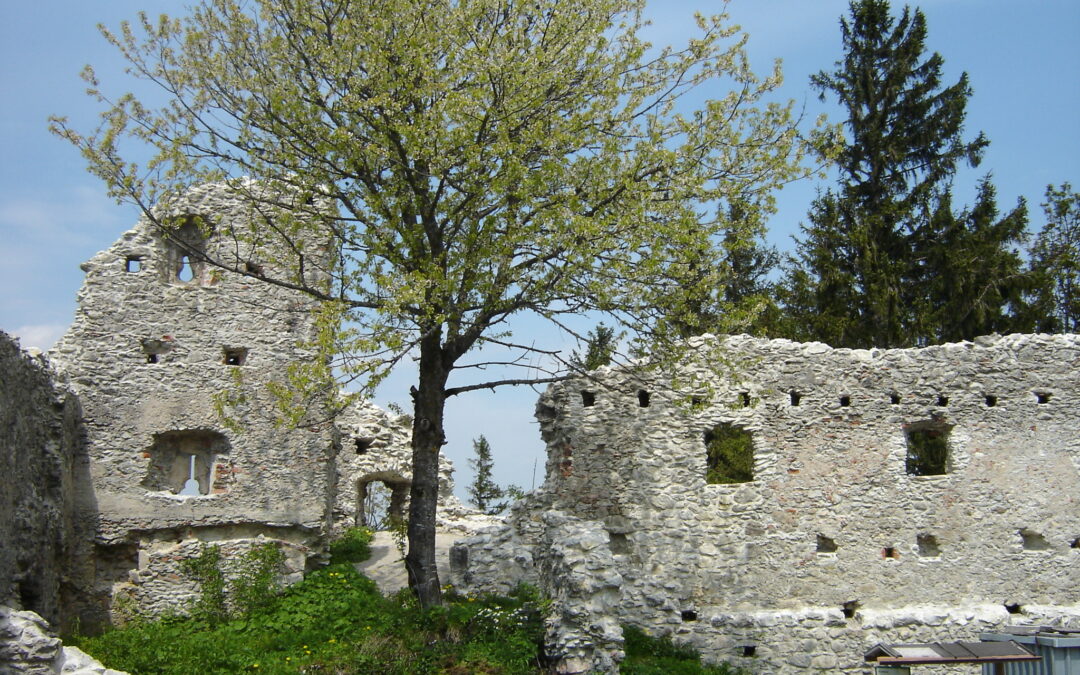 Castle ruins, HOHENFREYBERG